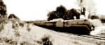 3801 Steam train 2
